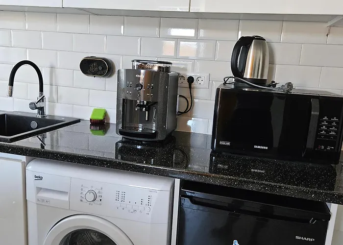 Apartament Dem Radulescu Langa Strand