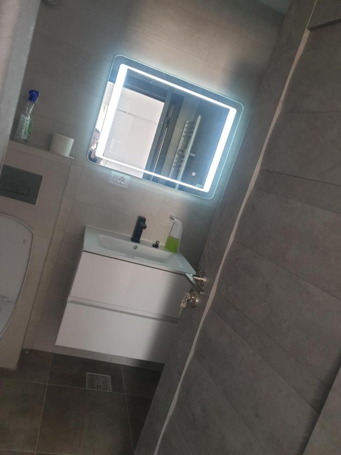 Dem Radulescu Langa Apartment Ramnicu Valcea