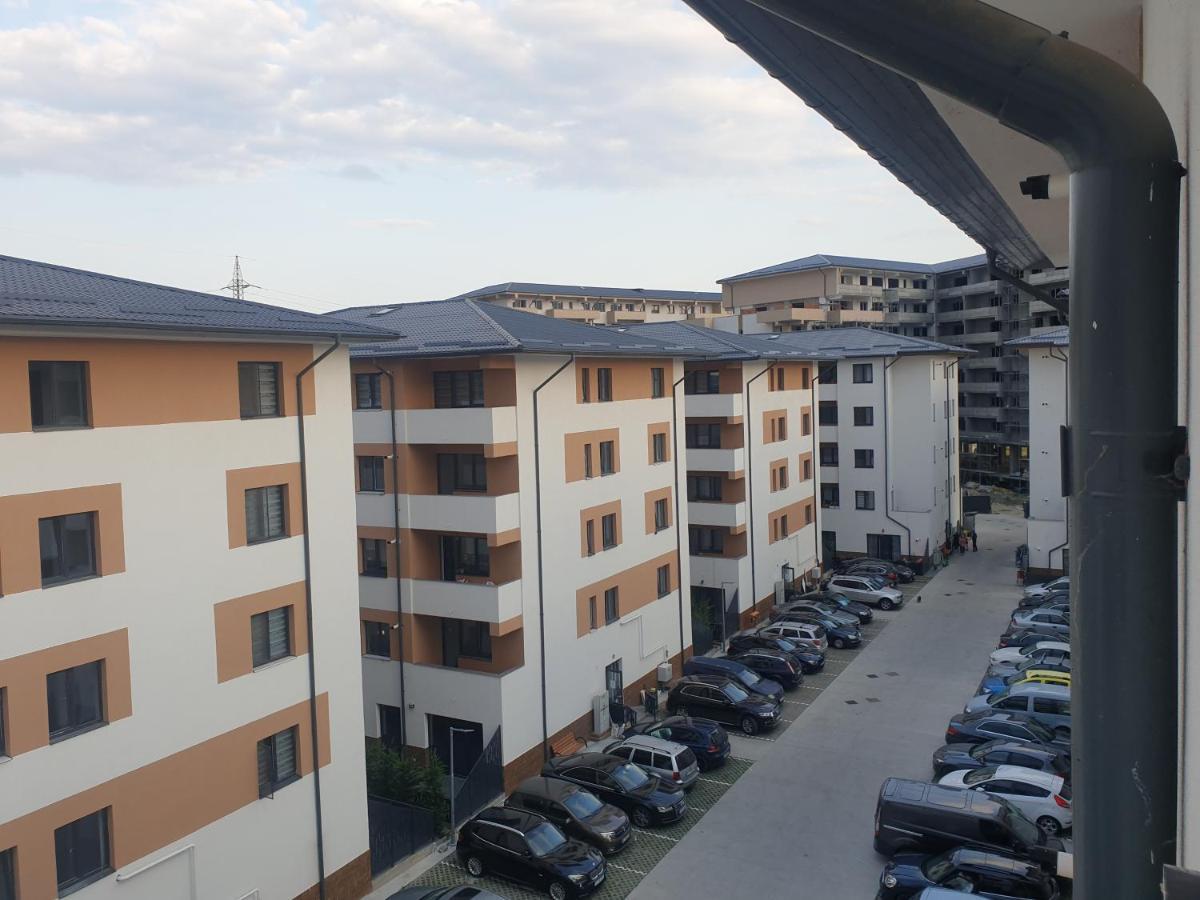 Dem Radulescu Langa Apartment Ramnicu Valcea