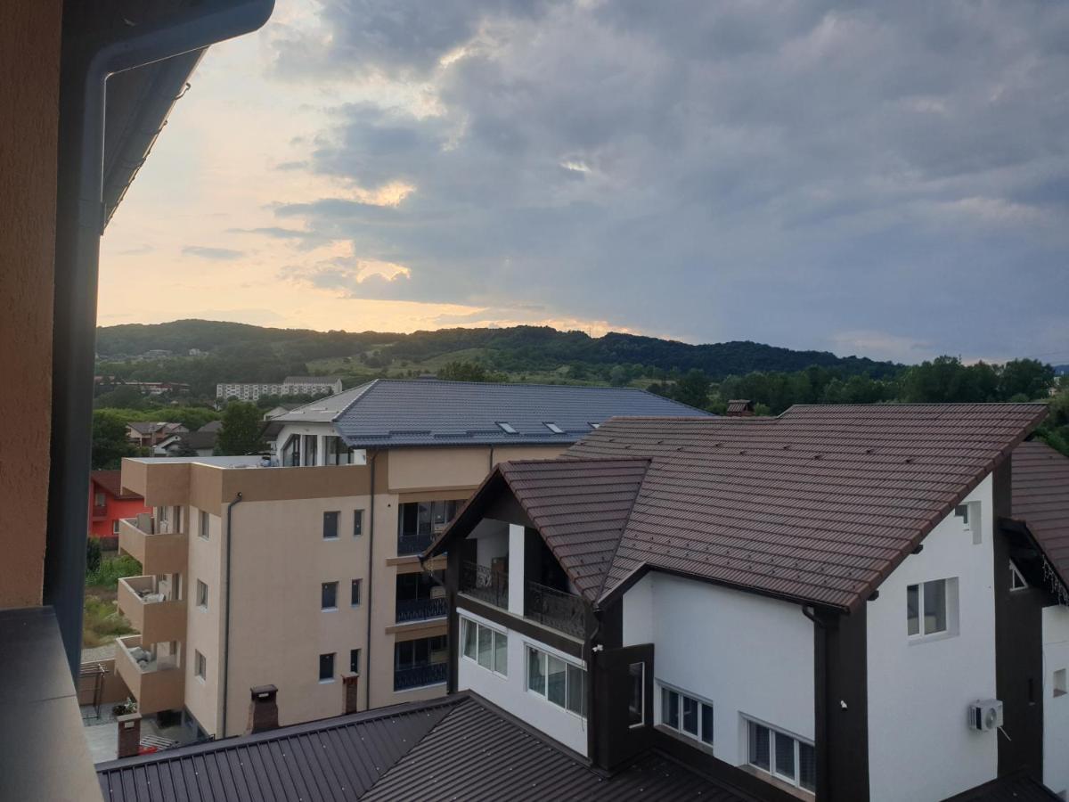 Dem Radulescu Langa Ramnicu Valcea