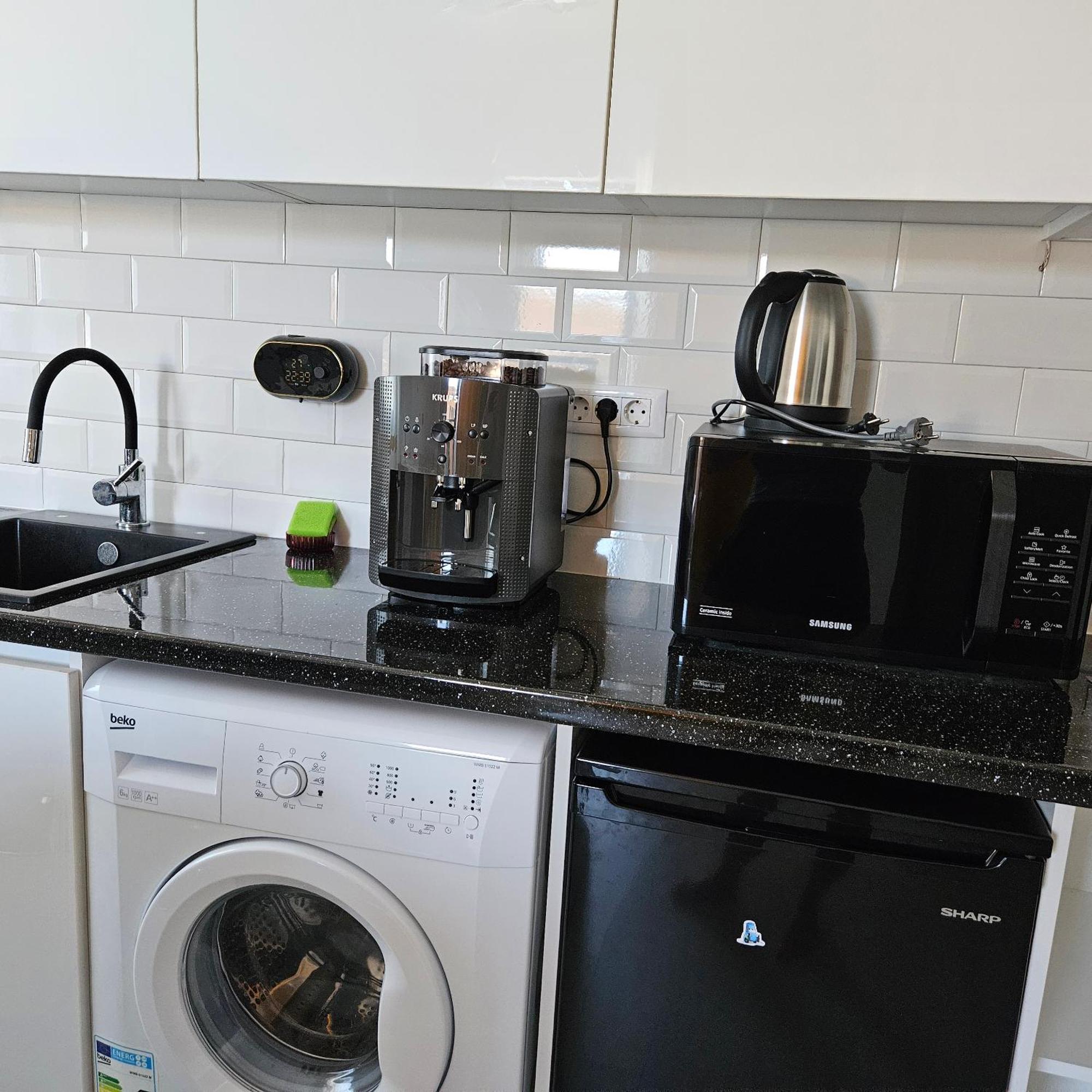 Dem Radulescu Langa Apartment *